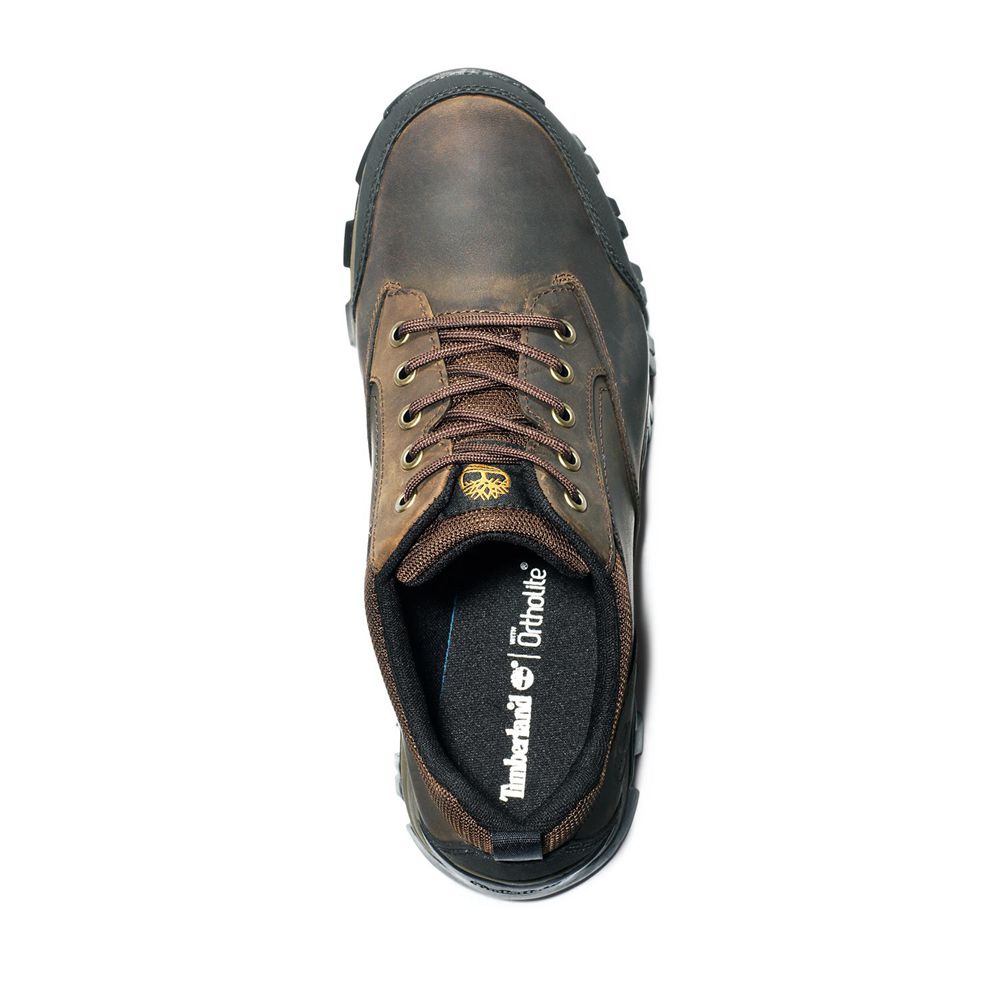 Timberland Mens Hiking Shoes Keele Ridge Waterproof - Brown - India SQ9532817